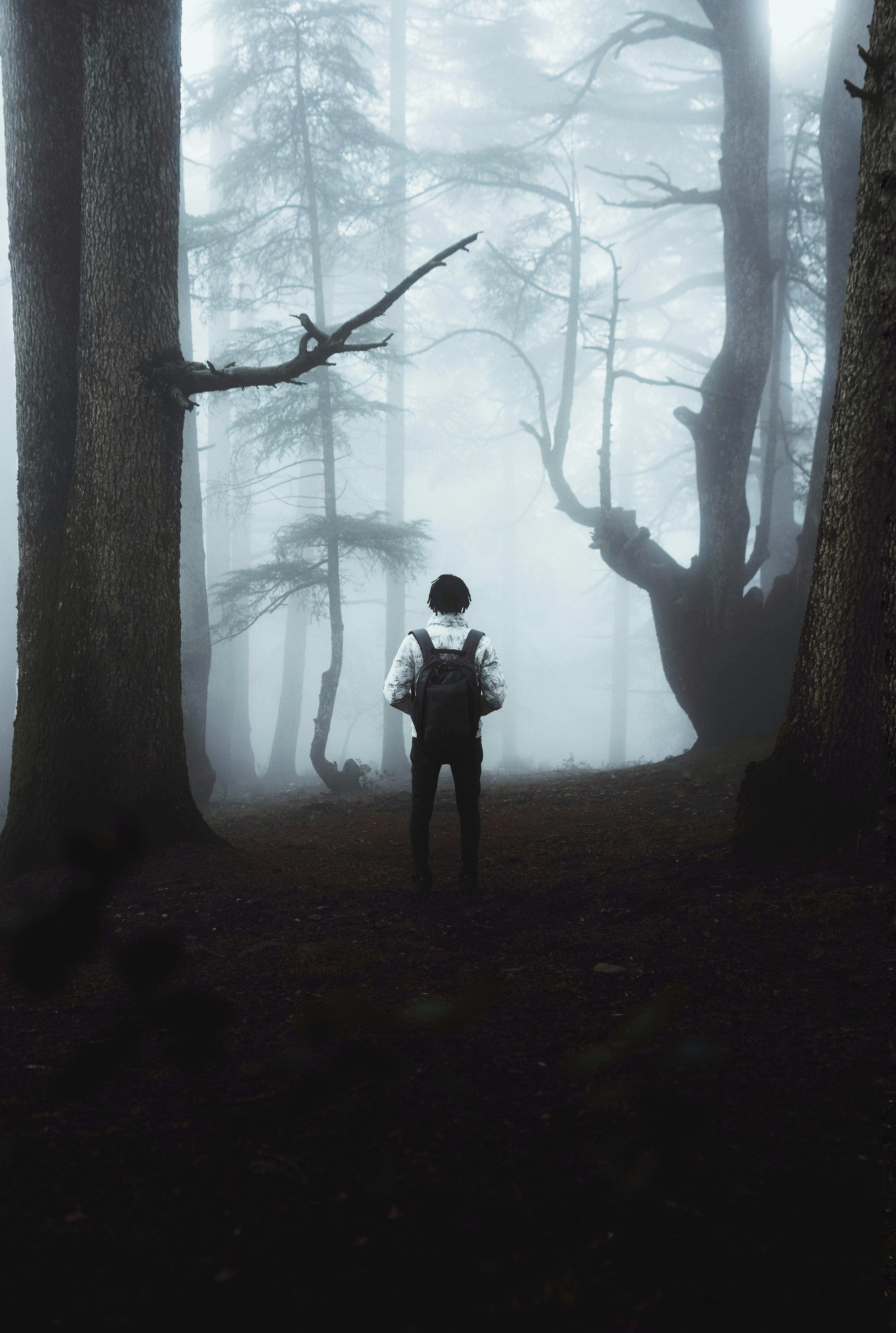 Person standing in a foggy forest